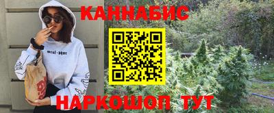гидра Заводоуковск